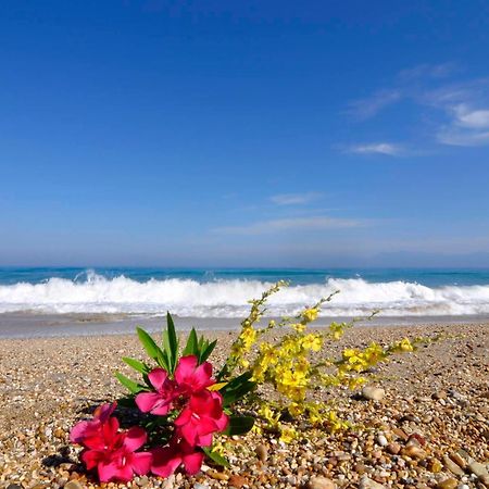 Almyra Beach House Corfu Almiros Beach 외부 사진